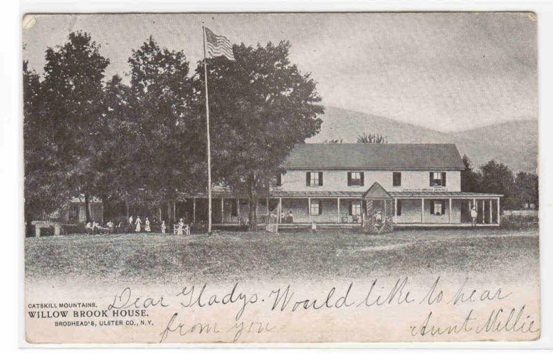 Willow Brook House Catskill Mountains New York 1906 postcard