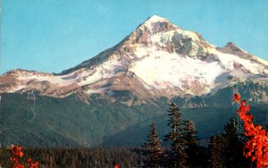 Oregon Mount Hood Seen From Lolo Pass