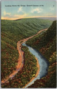 1952 Looking Down The George Grand Canyon Of Pennsylvania PA Posted Postcard