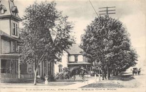 Reed City Michigan~Residential Section~Horse-Buggy in Street~Boy on Bicycle~1910