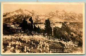 RPPC Tatoosh Range Mount Rainier National Park Washington WA 1917 DB Postcard H3