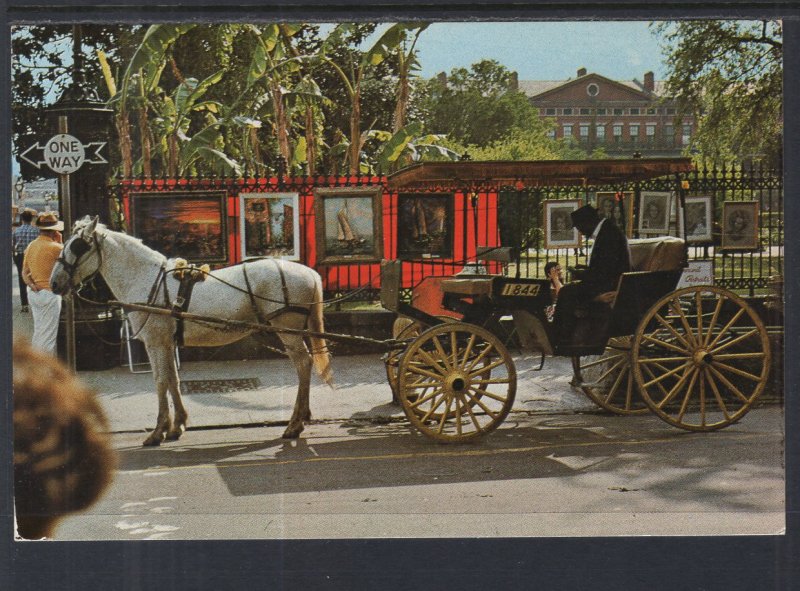 Sightseeing Carriage,French Quarter,New Orleans BIN