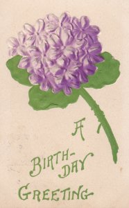 Birthday With Purple Flower 1908 Embossed