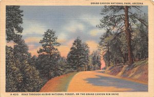 Road Through Kaibab National Forest On Grand Canyon Rim Drive View Postcard B...