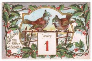 New Year Birds Greetings embossed 1909 postcard