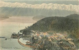 Cordova Alaska Birdseye View Hand colored Postcard 1909 Owl Drug 24-8064