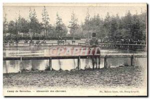 Old Postcard Horse Riding Equestrian Camp Waterloo drinker horses militaria