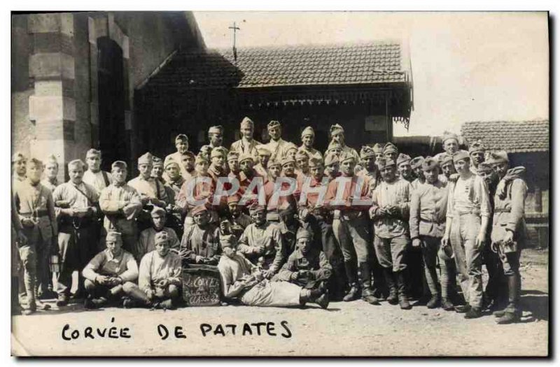 Corvee PHOTO CARD potatoes Army