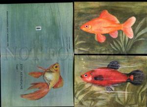 152468 ZOO aquarium fish by Stylo COMPLETE Set 9 old PCs