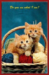 Do You See What I See? Basket Of Kittens - [MX-1175]