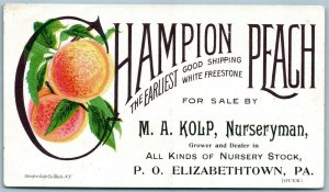 ELIZABETHTOWN PA NURSERY ANTIQUE ADVERTISING VICTORIAN TRADE CARD