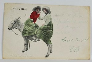 Two of a Kind, Women and Jackass 1907 to Peru Illinois Postcard S8