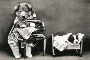 Dog sews clothes to a puppy FUNNY PETS Real Photo Russian Modern postcard