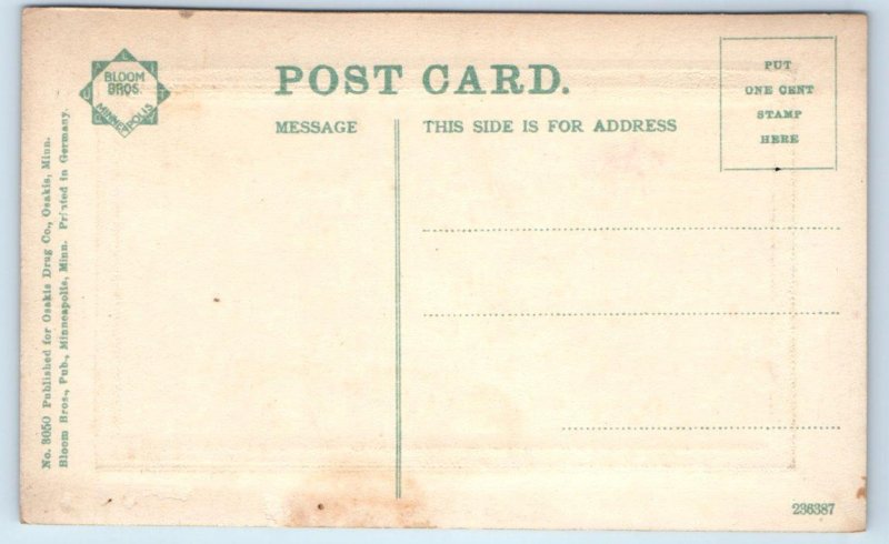 LAKE OSAKIS, Minnesota MN ~ Embossed CRESCENT BEACH Boat c1910s Postcard