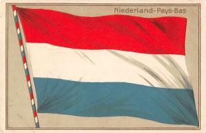 Netherlands Niderlands Pays Bas Country Flag Antique Postcard J80288