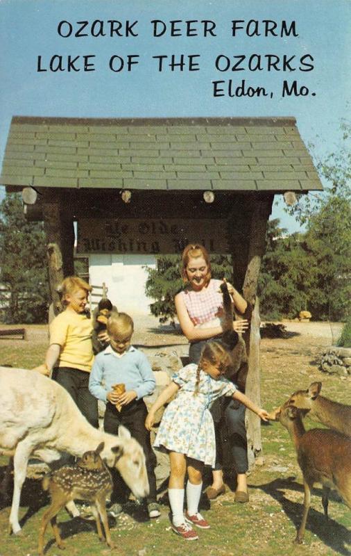 ELDON, MO Missouri  OZARK DEER FARM  Kids~Petting Zoo  MILLER CO Chrome Postcard