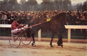 Andre Faure Horse Racing, Trotters, Unused 