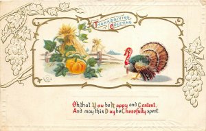 THANKSGIVING GREETING 1911 Embossed Postcard Turkey Pumpkin Wheat Tremont IL