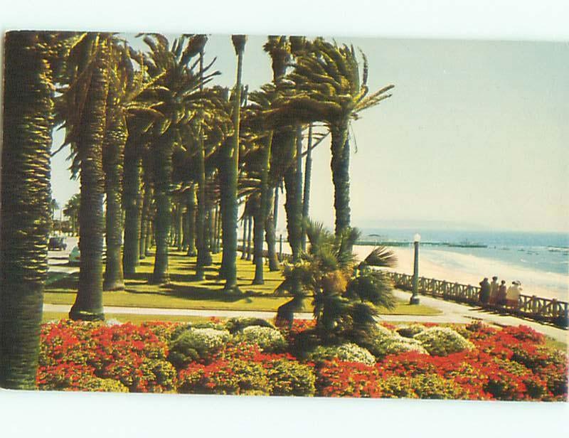 Pre-1980 PALISADES PARK AT BEACH Santa Monica California CA W5743