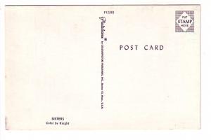 Two Kittens on an Afghan, Sisters, Knight, Cats