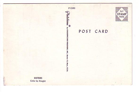 Two Kittens on an Afghan, Sisters, Knight, Cats