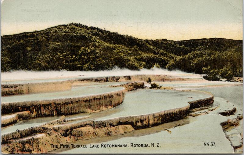 The Pink Terrace Lake Rotomahana Rotorua NZ New Zealand Unused Postcard F9