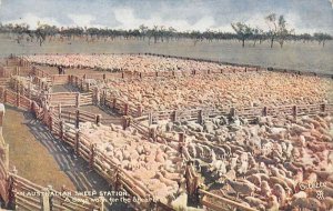 Australia Sheep Station Farming Scene Tuck Oilette Vintage Postcard AA44003 