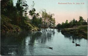 Rockwood Park St. John NB New Brunswick Antique Postcard D95