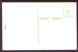 Ready For Lunch,Kitten in a Lunch Box