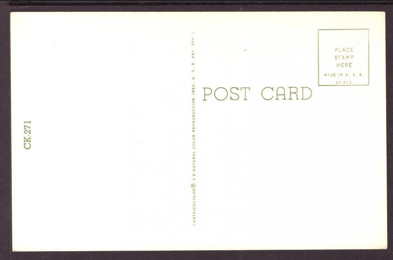 Ready For Lunch,Kitten in a Lunch Box