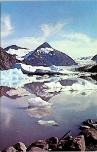 Land View Snowy Portage Glacier Alaska AL Mountains Chrome Postcard UNP Vintage 