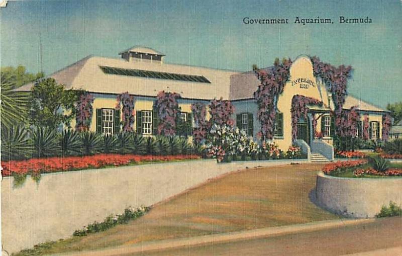 Government Aquarium in Bermuda Linen Postcard