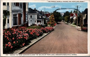 Among The Rose Gardens Along The Walks Of Portland Oregon Postcard C115