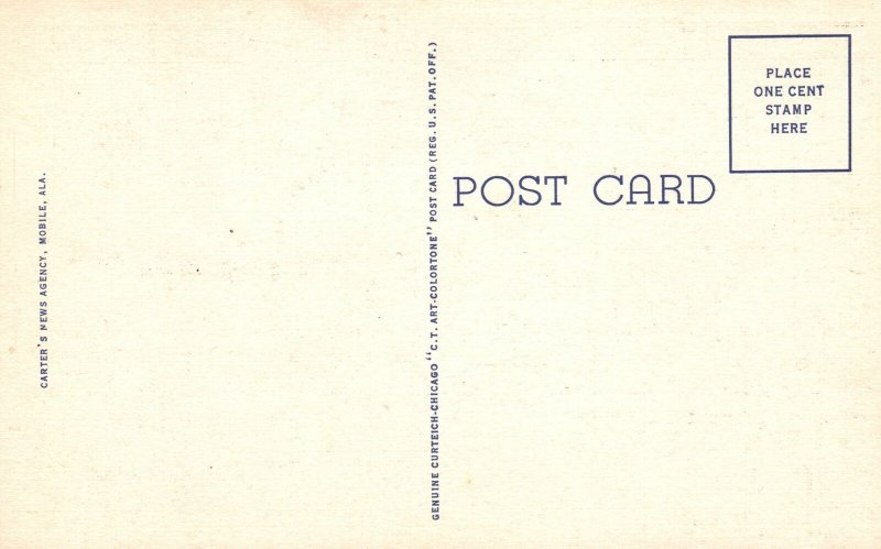 Vintage Postcard 1930s Azaleas & Spanish Moss Bellingrath Gardens Mobile Ala.