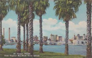 Florida Tampa From Tropical Man Made Davis Islands