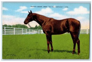 1931 Twenty Grand Kentucky Derby Horse Racing Champion Lexington KY Postcard