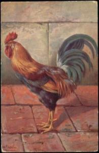 Chicken Hen Rooster (1916)