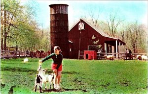 Stamford, CT Connecticut HECKSHER FARM~Girl Bottle Feeding Goat MUSEUM Postcard