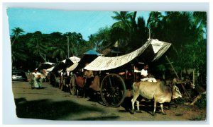 c1960s Bullock Carts Malacca Malaysia Vintage Unposted Foreign Postcard 