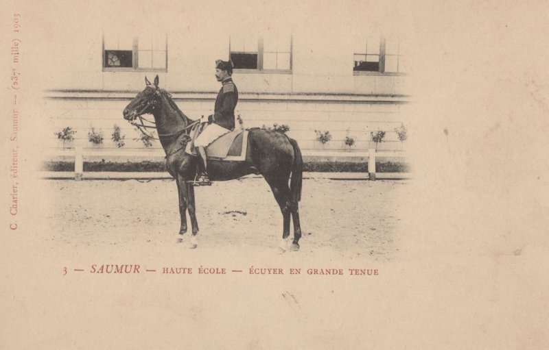 Saumer Haute Ecole Antique Horse Military Rider French Postcard