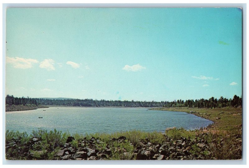 c1950's Forested White Mountains, Show Low Lake Arizona AZ Vintage Postcard