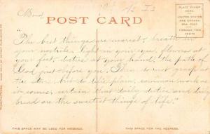 Fulton Chain New York Cedar Island Camp Waterfront Antique Postcard K59348