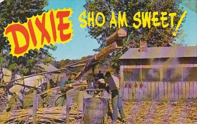 Grinding Sugar Cane In Dixie Sho Am Sweet
