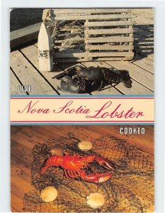 Postcard Nova Scotia Lobster, Canada