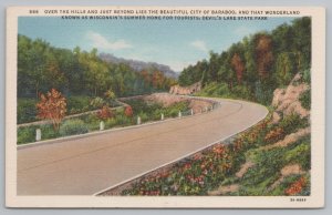 Wisconsin~Devil's Lake State Park Forest~Vintage Postcard