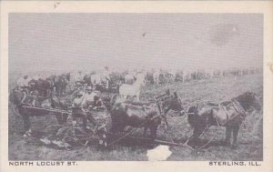 Illinois Sterling North Locust Street