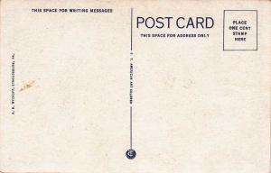 Squirrel - Nutty over the Poconos, Pennsylvania - WB