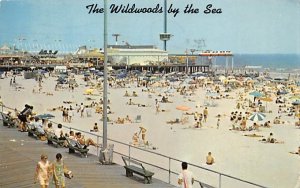 Beach North of Montgomery Ave., Showing Fun Pier in Wildwood-by-the Sea, NJ