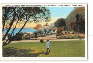 Catalina Island California CA Postcard 1915-1930 Hotel St. Catherine Gardens