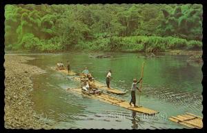 Rafting on the Rio Grande - Port Antonio, Jamaica, W. I.